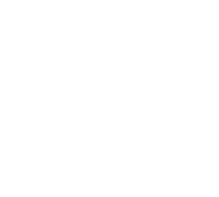 Noah & co.