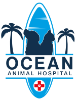 Ocean animal clinic