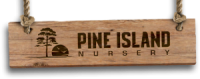 Pine island nursery inc
