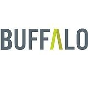 Buffalo Fundraising Consultants