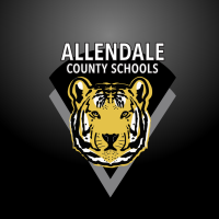 Allendale county schools