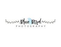Bluebird photography