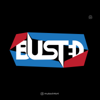 Busted designs limited company