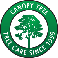 Canopy tree services