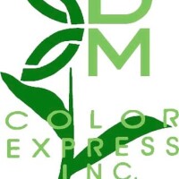 Dm color express inc