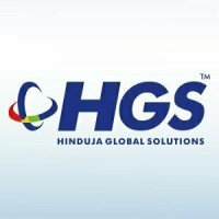 Hgs systems consulting
