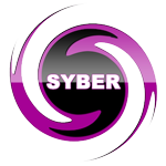 Syber enterprise group inc