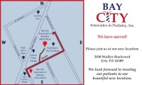 BayCity Associates in Podiatry, Inc