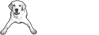 Tucker pup's pet resort