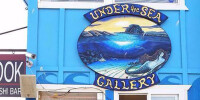 Under the sea gallery