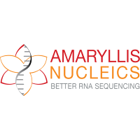 Amaryllis nucleics