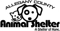 Allegany county animal shelter management foundation