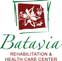 Batavia health care center, llc