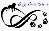 Bizzy paws