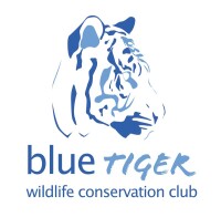 Blue tiger labs