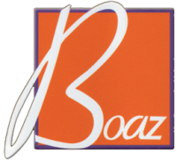 Boaz electric