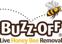 Bzz bee removal