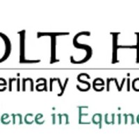 Colts head veterinary services, pc