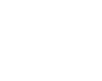 Consorcio lemon s.a. de c.v.