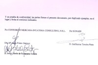 Consorcio mercasa incatema consulting, s.r.l.