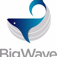 Big Wave Digital