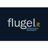 Flugel consulting