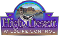 High desert wildlife rescue and rehabilitation