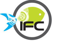 Ifc seafood