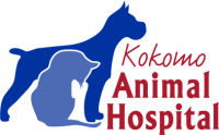 Kokomo animal hospital