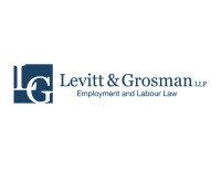 Levitt & Grosman LLP
