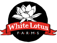 Lotus farms