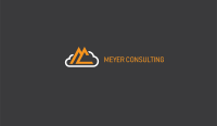 Mejer consulting