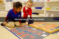 Montessori academy of carrollwood