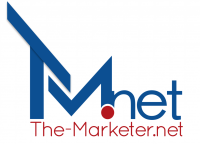 Net marketer guy consulting