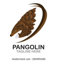 Pangolin