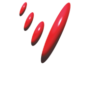 Viz Branz Ltd