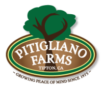 Pitigliano farms