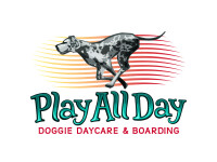 Play all day doggie day care