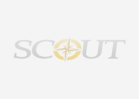 Scout energy services