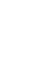 Digital chameleon chicago