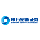 Shenwan & hongyuan securities