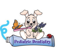 Tots to teens pediatric dentistry, p.c.