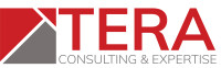 Tera consulting services