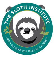 The sloth institute costa rica