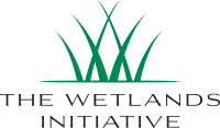 The wetlands project