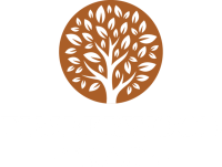Timberwood trace apts