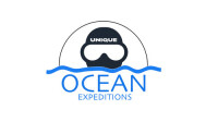 Undersea expeditions