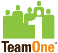 Team One LLC