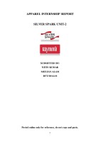 Silver Spark Apparel Limited ( Raymond Group Initiative)