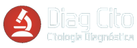 Lab. IN CITO - Citologia Diagnóstica Ltda